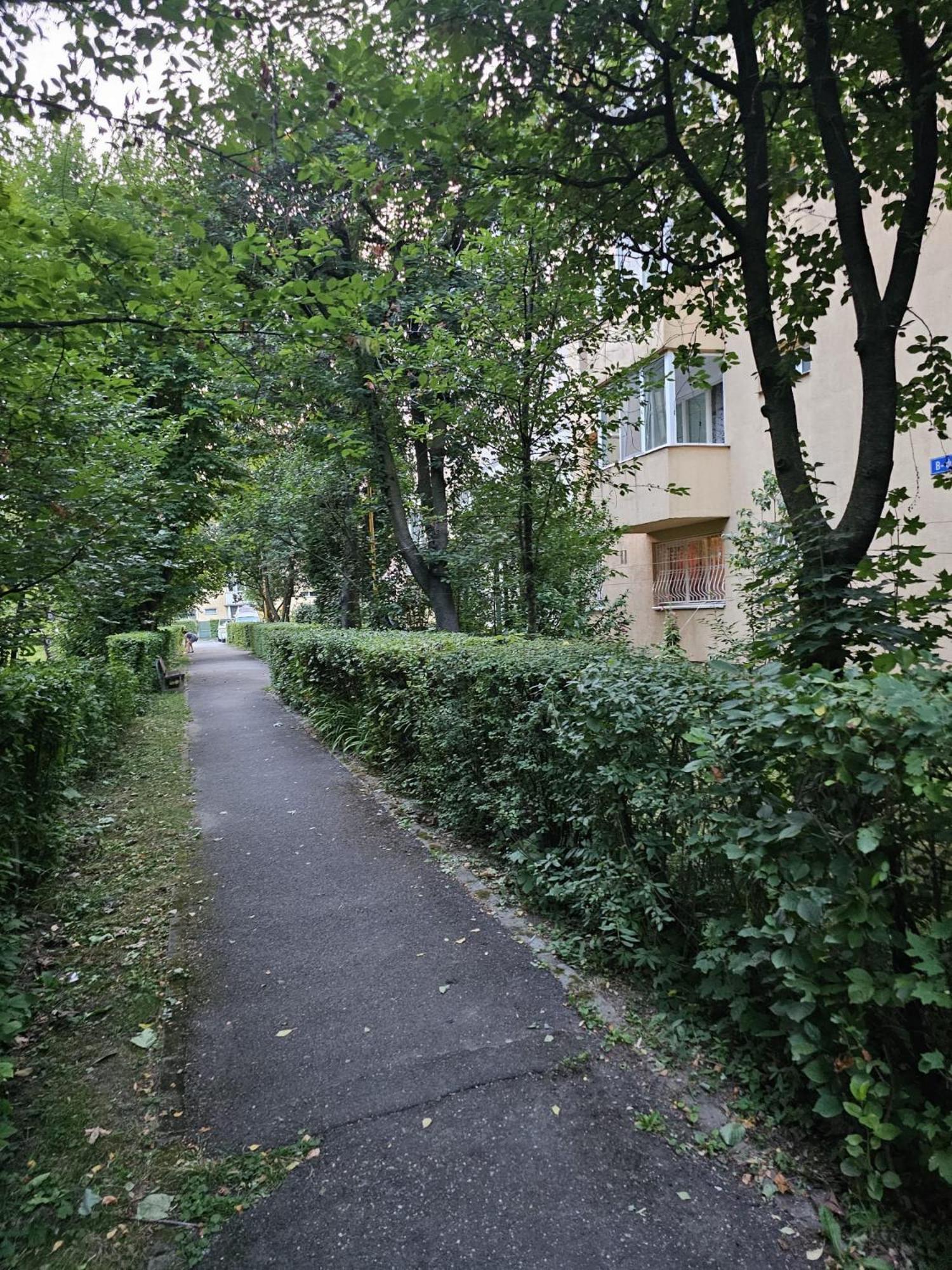 Saturn Studio Braşov Eksteriør billede